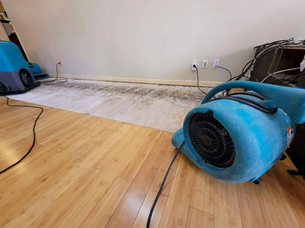 Professional Water Extraction technician working in Denmark, WI
